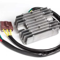 RICKS MOTORSPORT ELECTRICS 100012