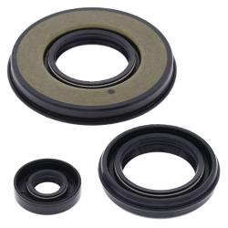 VERTEX PISTONS 55199