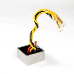 RICKS MOTORSPORT ELECTRICS 10W004