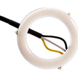 Diode Dynamics DD2046S