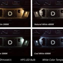 Diode Dynamics DD0031P
