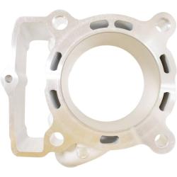 CYLINDER WORKS 510061