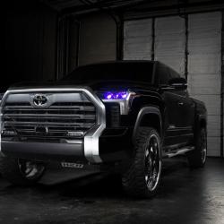 ORACLE LIGHTING 1474334