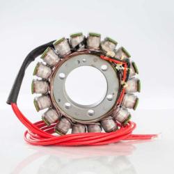 RICKS MOTORSPORT ELECTRICS 21130