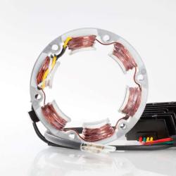 RICKS MOTORSPORT ELECTRICS 99101