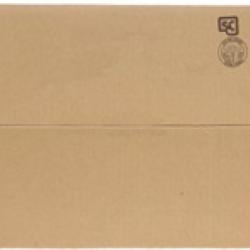 AEM INDUCTION 21781DS