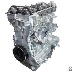 mountune 6069-LB-230