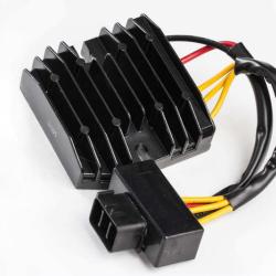 RICKS MOTORSPORT ELECTRICS 10669H