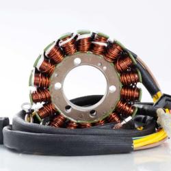 RICKS MOTORSPORT ELECTRICS 21558