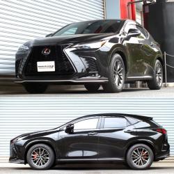 RS-R T523D