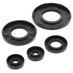 VERTEX PISTONS 55105