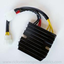 RICKS MOTORSPORT ELECTRICS 14009H