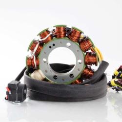 RICKS MOTORSPORT ELECTRICS 21561