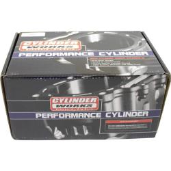 CYLINDER WORKS 610061