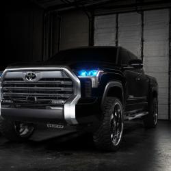 ORACLE LIGHTING 1474334