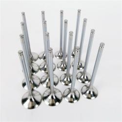 SKUNK2 RACING 310051400