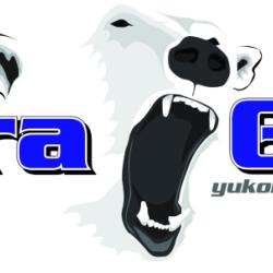 YUKON GEAR & AXLE YDGNTITAN321