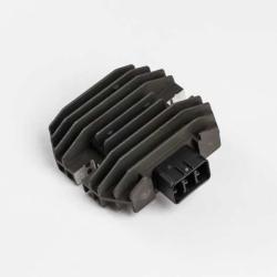 RICKS MOTORSPORT ELECTRICS 10229