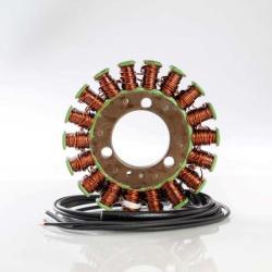 RICKS MOTORSPORT ELECTRICS 21317