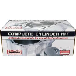 CYLINDER WORKS CW30013K02