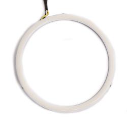 Diode Dynamics DD2068S