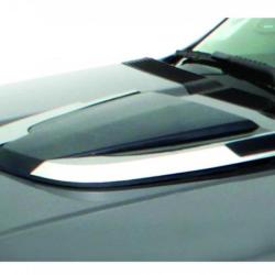AVS 80010