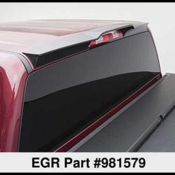 EGR 981579