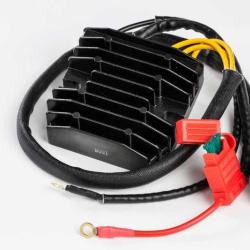 RICKS MOTORSPORT ELECTRICS 10014H