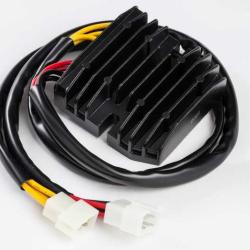 RICKS MOTORSPORT ELECTRICS 10008H