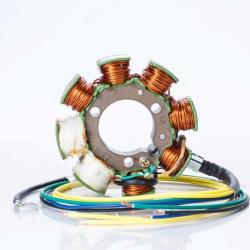 RICKS MOTORSPORT ELECTRICS 21617H