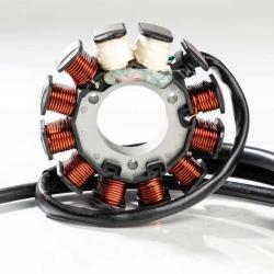 RICKS MOTORSPORT ELECTRICS 24012