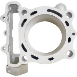 CYLINDER WORKS 310121