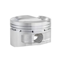 CP PISTONS SC74481