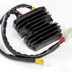 RICKS MOTORSPORT ELECTRICS 10206H