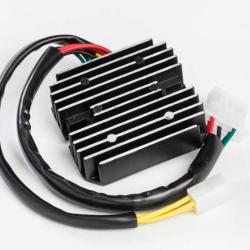 RICKS MOTORSPORT ELECTRICS 10110