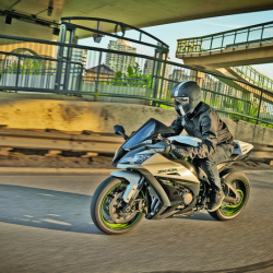 SPEED AND STRENGTH 880371