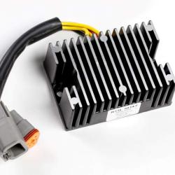 RICKS MOTORSPORT ELECTRICS 10W006