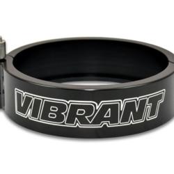 Vibrant 12538