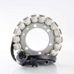 RICKS MOTORSPORT ELECTRICS 21224