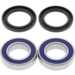 ALL BALLS RACING 251293