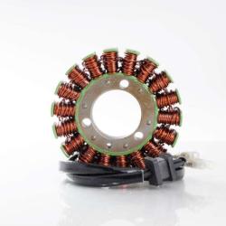 RICKS MOTORSPORT ELECTRICS 21203