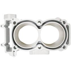 CYLINDER WORKS CW610071