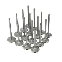 SKUNK2 RACING 310059310