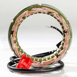 RICKS MOTORSPORT ELECTRICS 21152