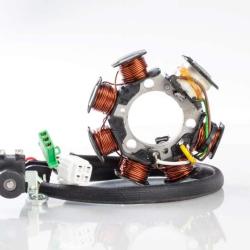 RICKS MOTORSPORT ELECTRICS 21930