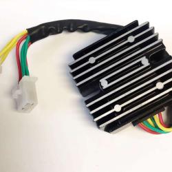 RICKS MOTORSPORT ELECTRICS 10171