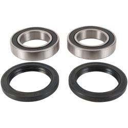 PIV Wheel Bearing Kit Pivot Works PWRWK-S11-020