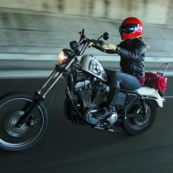 BURLY BRAND B131503C