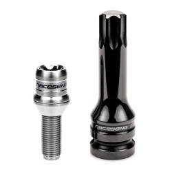 Raceseng 01032BRS10-01032BRS10-103101S20