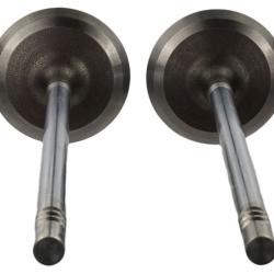 FORD RACING M6507M52